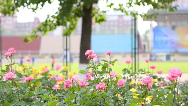 权威发布 | 北京师范大学2022年硕士研究生招生学校复试基本分数线