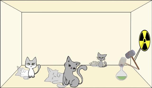 关于“薛定谔的猫”，一个新“故事”……