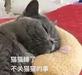 晚安故事 | 感谢你的陪伴，我的朋友