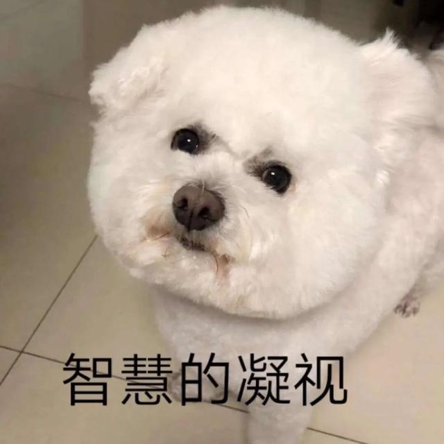 晚安故事 | 感谢你的陪伴，我的朋友