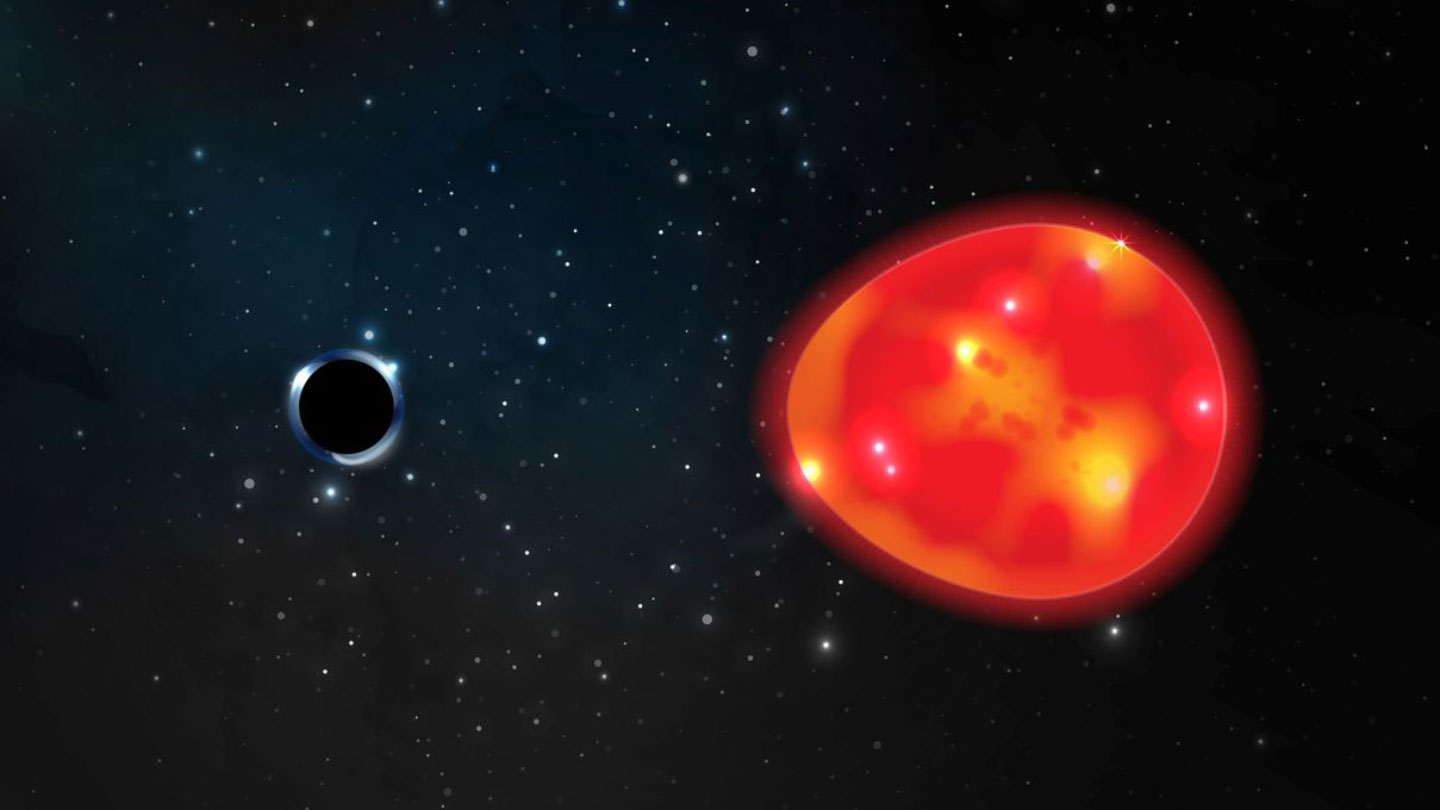 被误认为存在“黑洞”的双星系统示意图