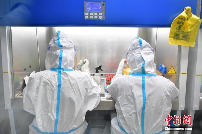 图为4月15日，曹路体育中心的方舱实验室工作人员提取核酸样本的核酸。 中新社记者 田雨昊 摄