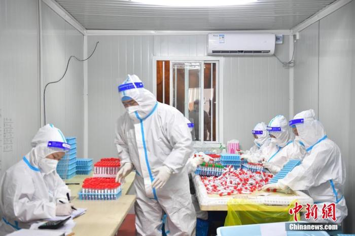 图为4月15日，曹路体育中心的方舱实验室工作人员为核酸样本排版。 中新社记者 田雨昊 摄