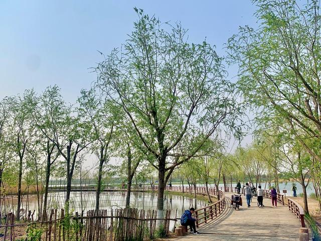 丰台百姓家门口的公园——绿堤公园