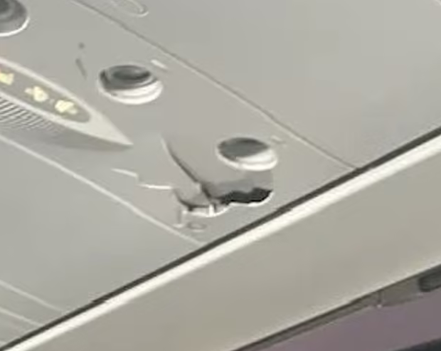 微信图片_20221219150517.png
