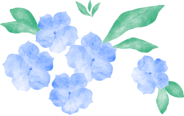 对话雪绒花丨你的困惑，我来倾听