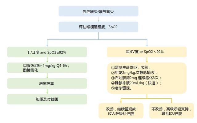 首都儿科研究所附属儿童医院儿童新冠感染诊疗参考方案（2022.12）