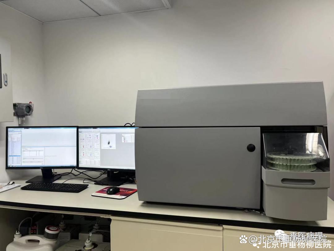 病理科项目小科普 | 浅谈流式细胞术