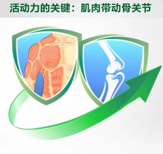 图片包含 图示描述已自动生成