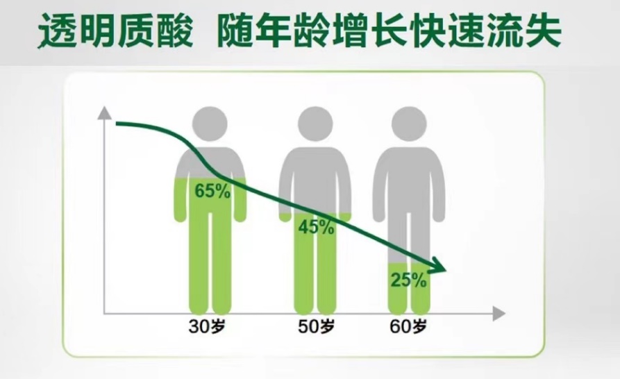 图片包含 图表描述已自动生成