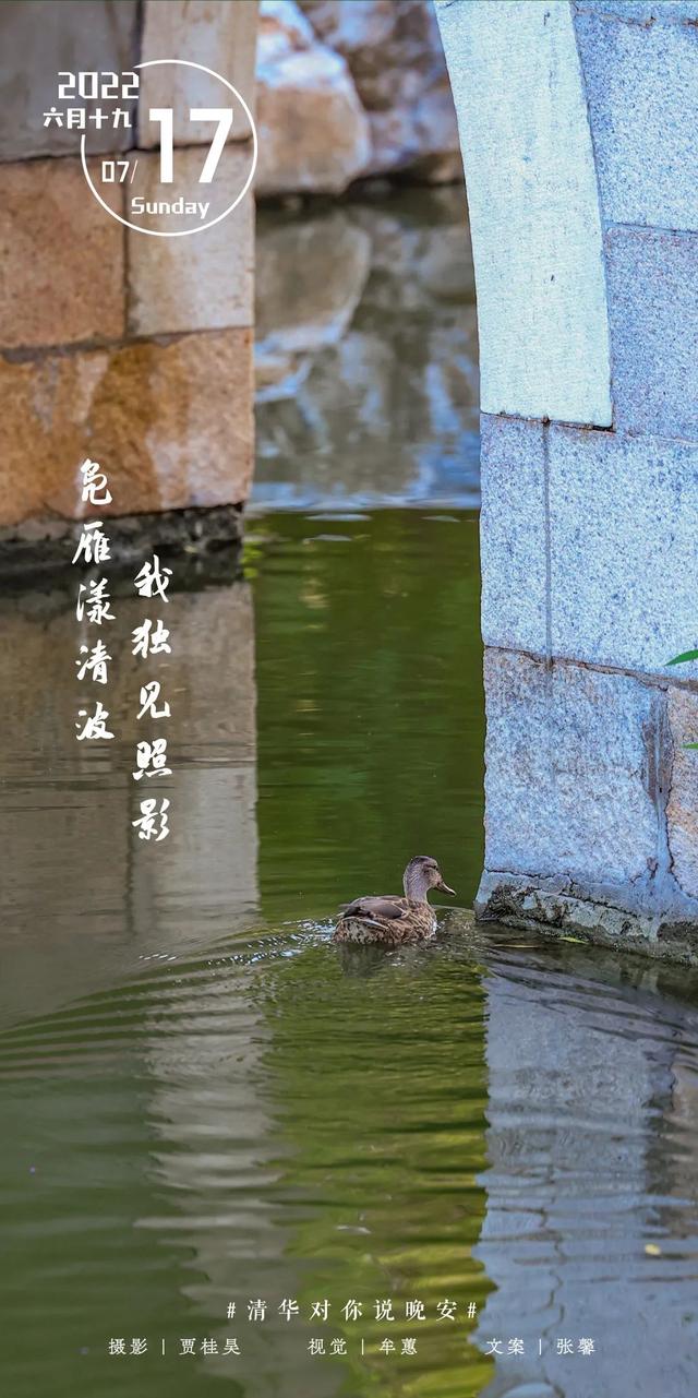 等你来，将万千美好拥入怀抱