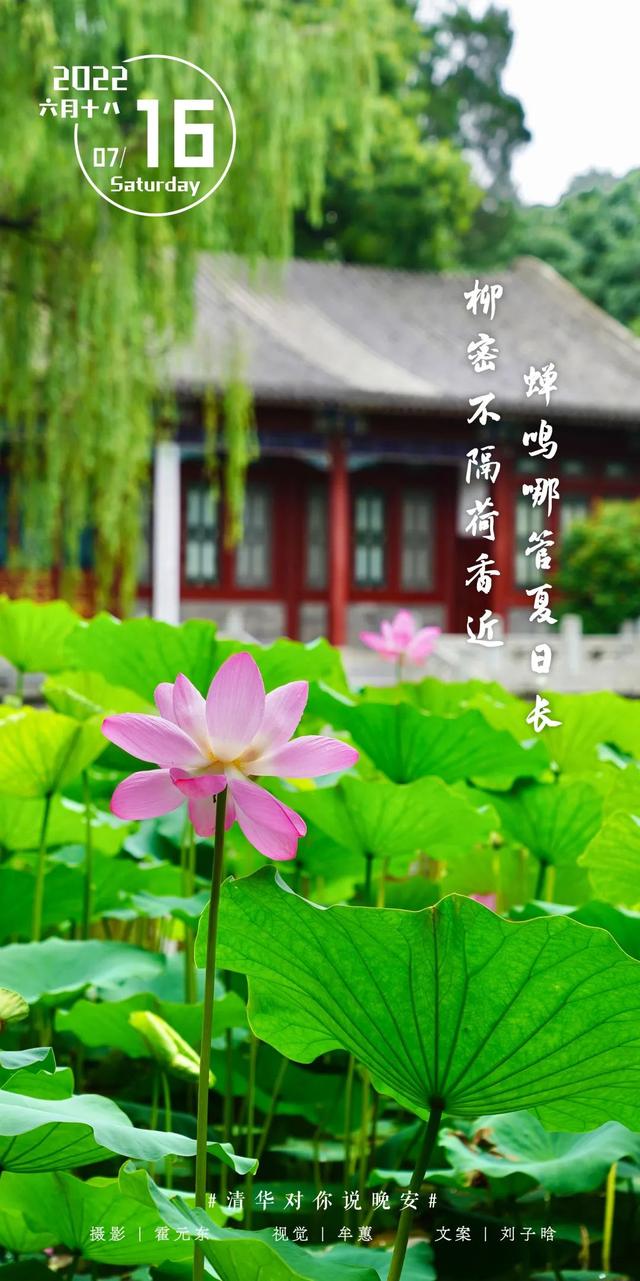 等你来，将万千美好拥入怀抱