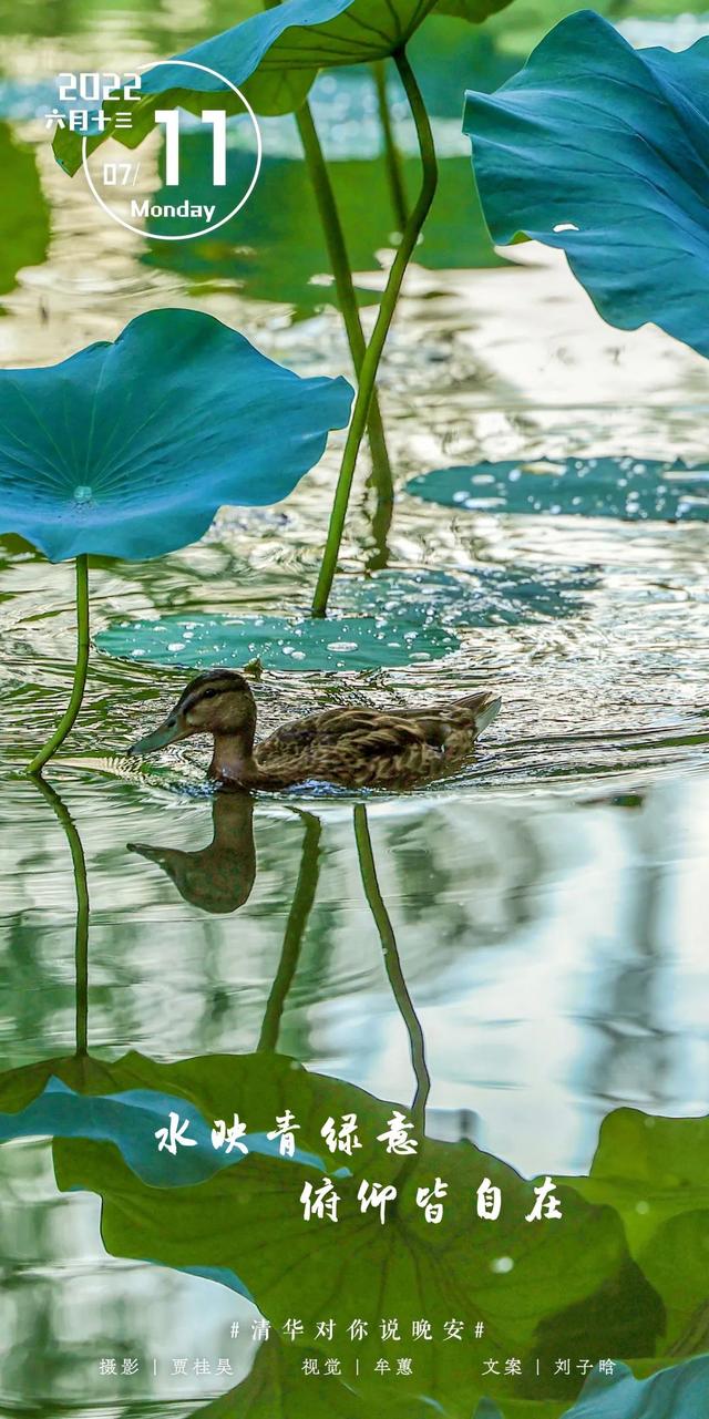 等你来，将万千美好拥入怀抱