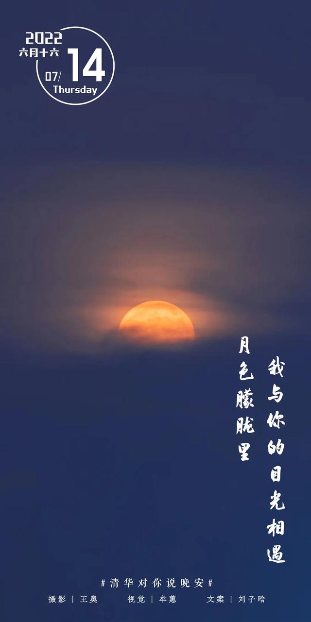 等你来，将万千美好拥入怀抱