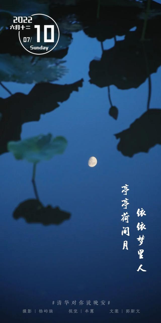 等你来，将万千美好拥入怀抱