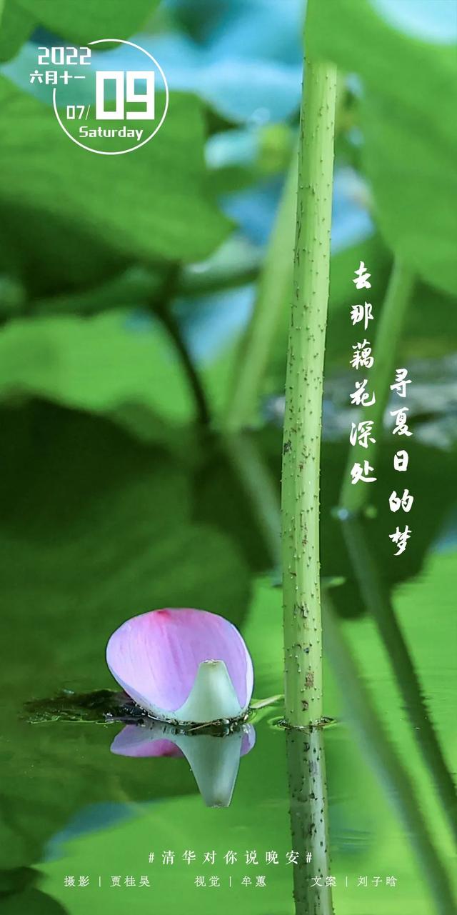 等你来，将万千美好拥入怀抱