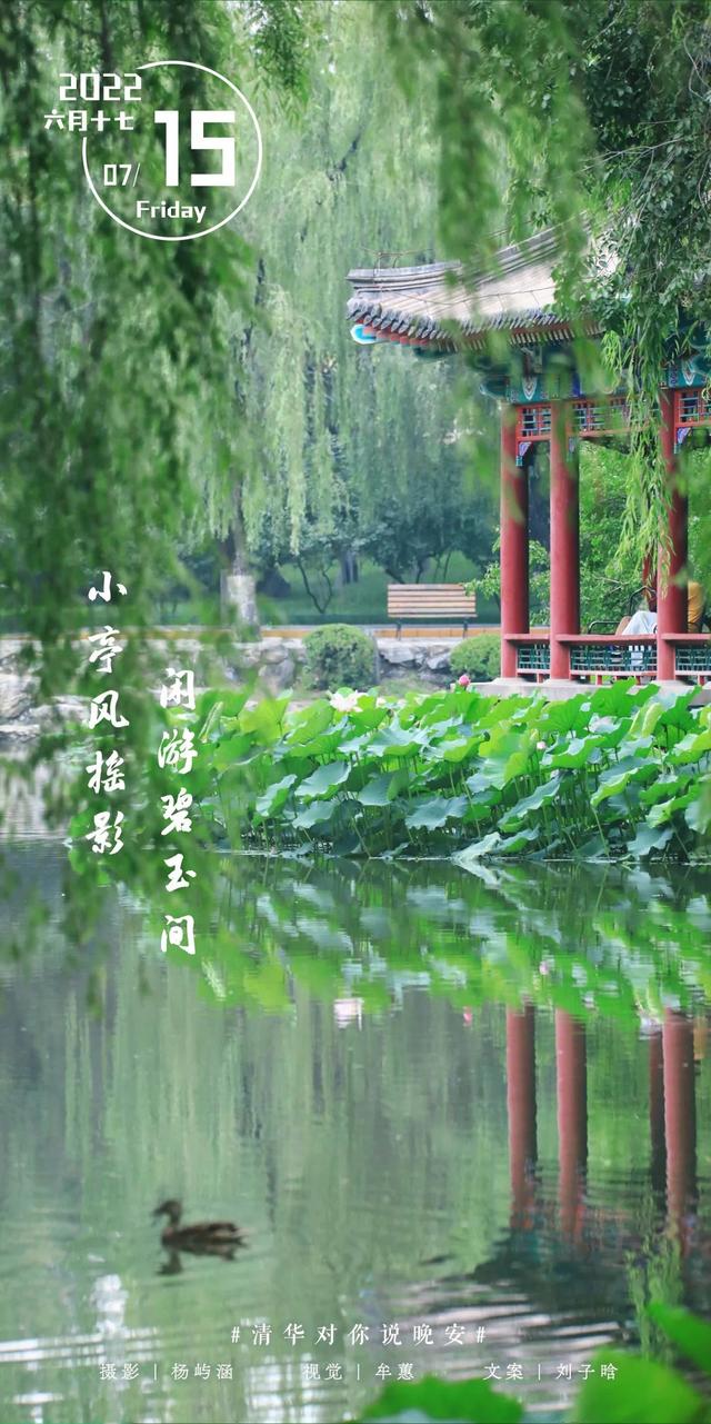 等你来，将万千美好拥入怀抱