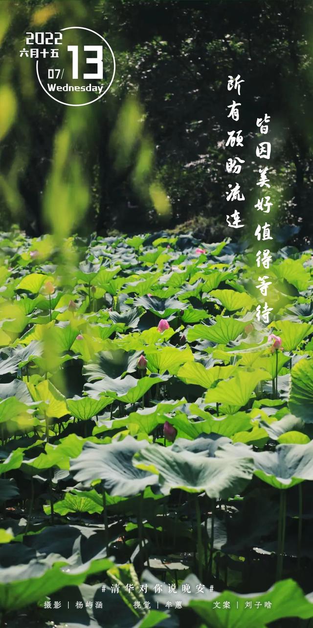 等你来，将万千美好拥入怀抱