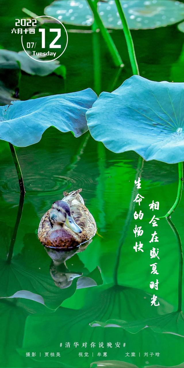 等你来，将万千美好拥入怀抱