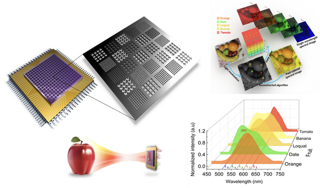 以芯为“眼”，解锁物质密码！