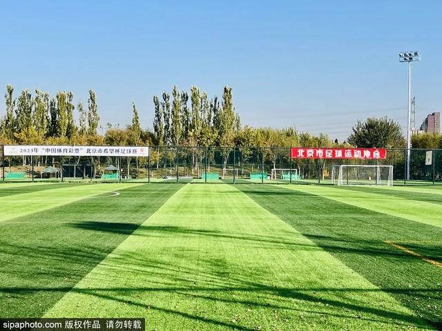 冬练正当时，这些运动好去处约起来