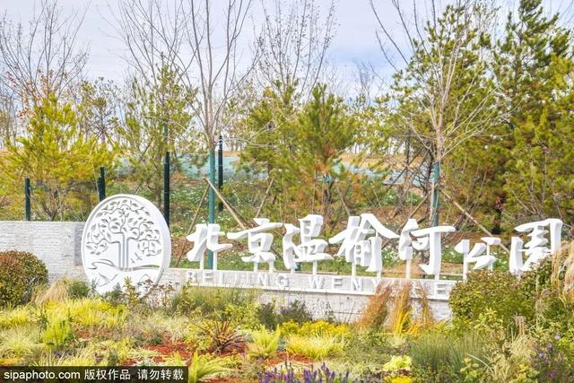 冬练正当时，这些运动好去处约起来