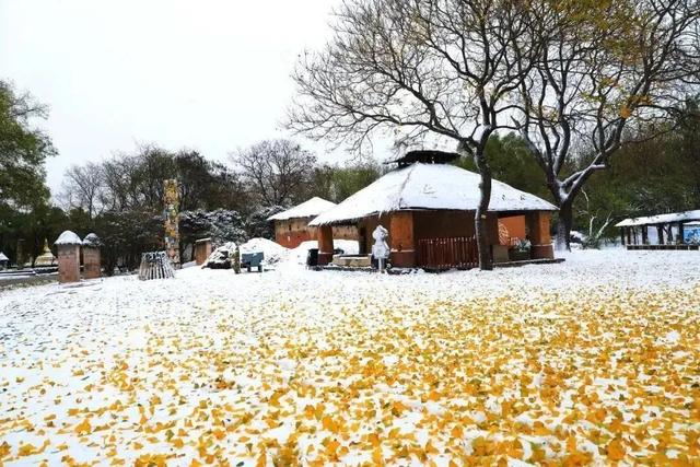 冰雪活动陆续开启，冬天就要“花式”玩冰雪！
