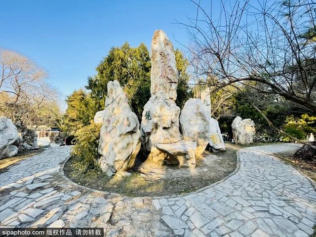 元旦假期，一起寻觅“龙行龘龘”
