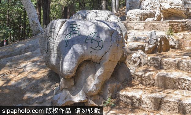 元旦假期，一起寻觅“龙行龘龘”