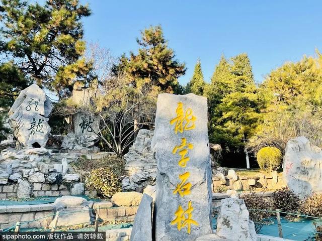 元旦假期，一起寻觅“龙行龘龘”