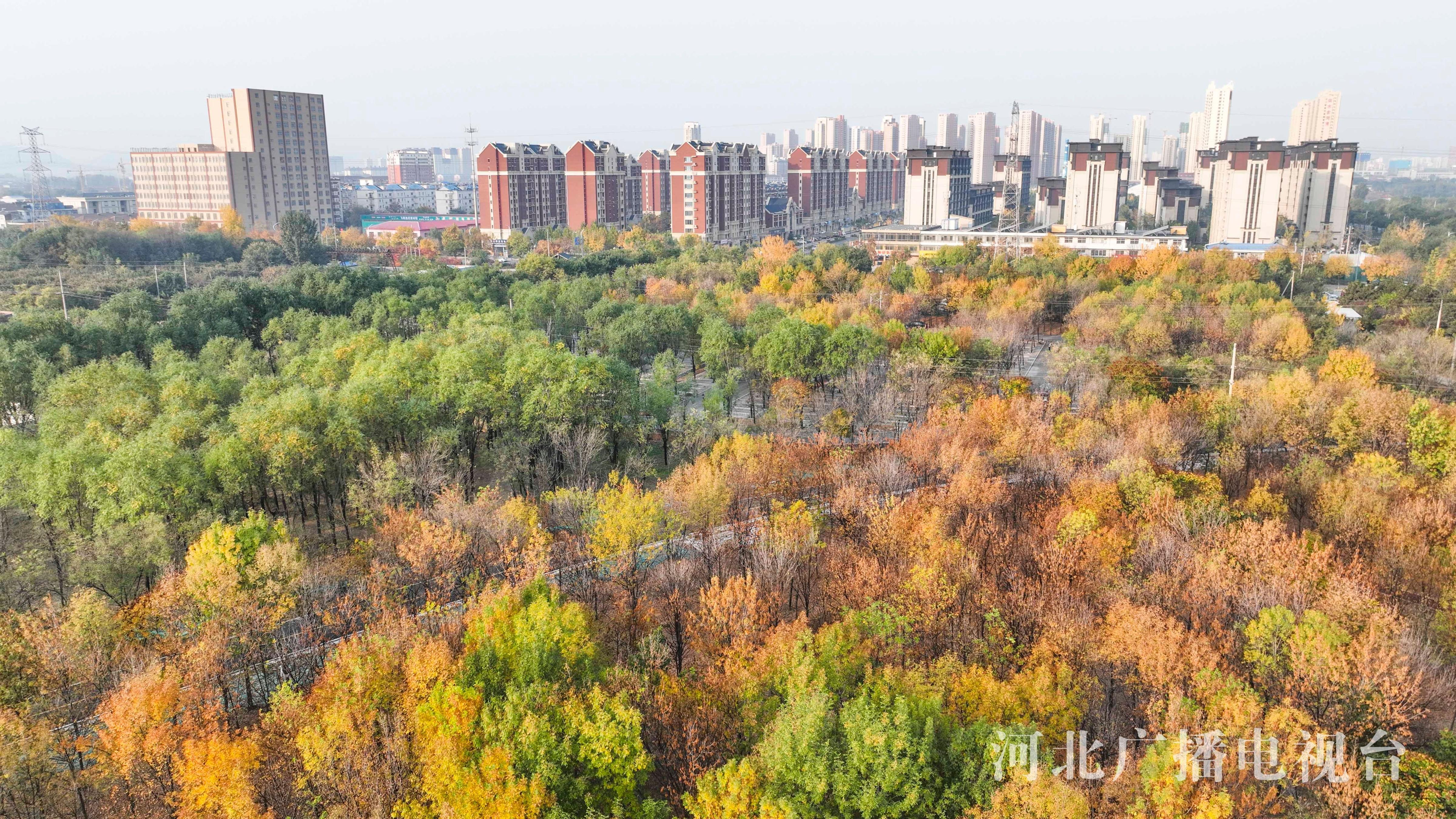 唐山遵化:秋景如画 乐享周末