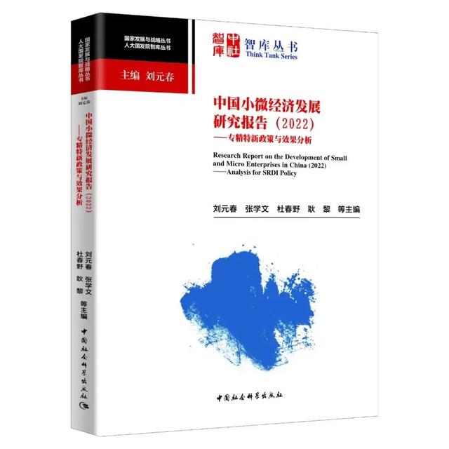 中国小微经济发展研究报告（2022）——专精特新政策与效果分析