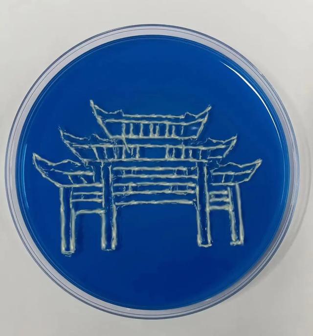 同奋进，共筑梦！江南学子用微生物作画为母校庆生！