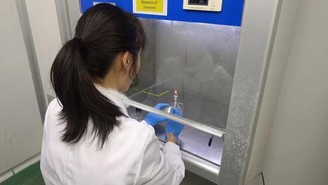 同奋进，共筑梦！江南学子用微生物作画为母校庆生！