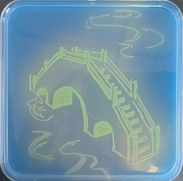 同奋进，共筑梦！江南学子用微生物作画为母校庆生！