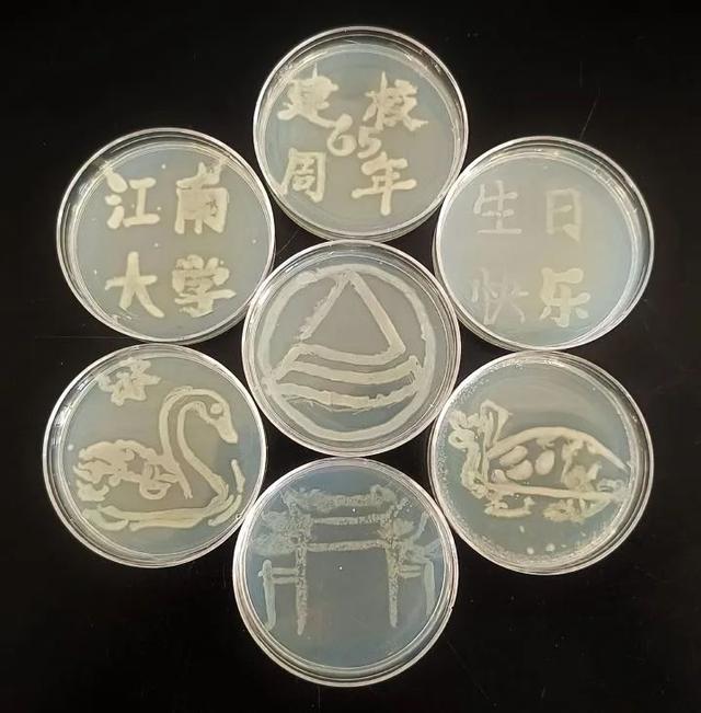 同奋进，共筑梦！江南学子用微生物作画为母校庆生！