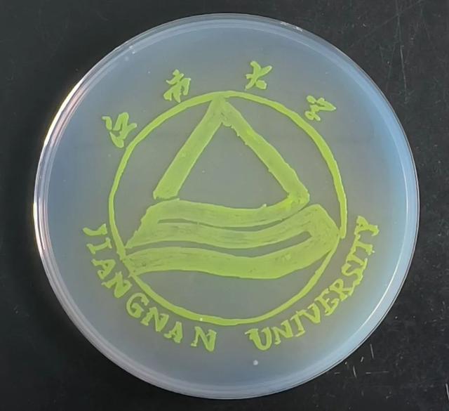 同奋进，共筑梦！江南学子用微生物作画为母校庆生！
