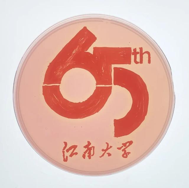 同奋进，共筑梦！江南学子用微生物作画为母校庆生！