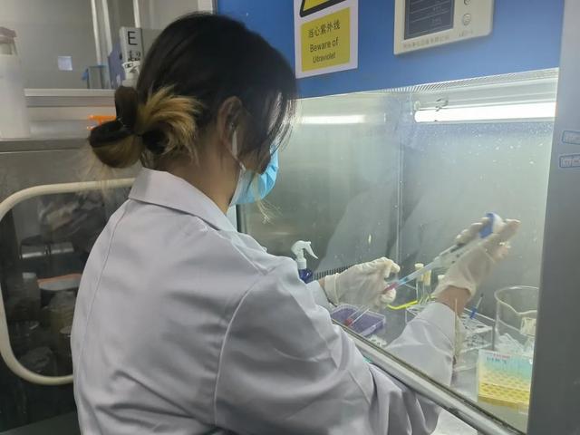 同奋进，共筑梦！江南学子用微生物作画为母校庆生！
