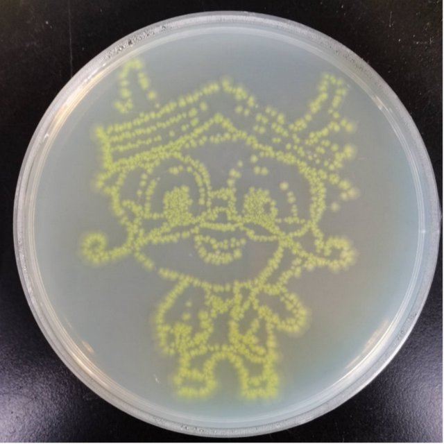 同奋进，共筑梦！江南学子用微生物作画为母校庆生！