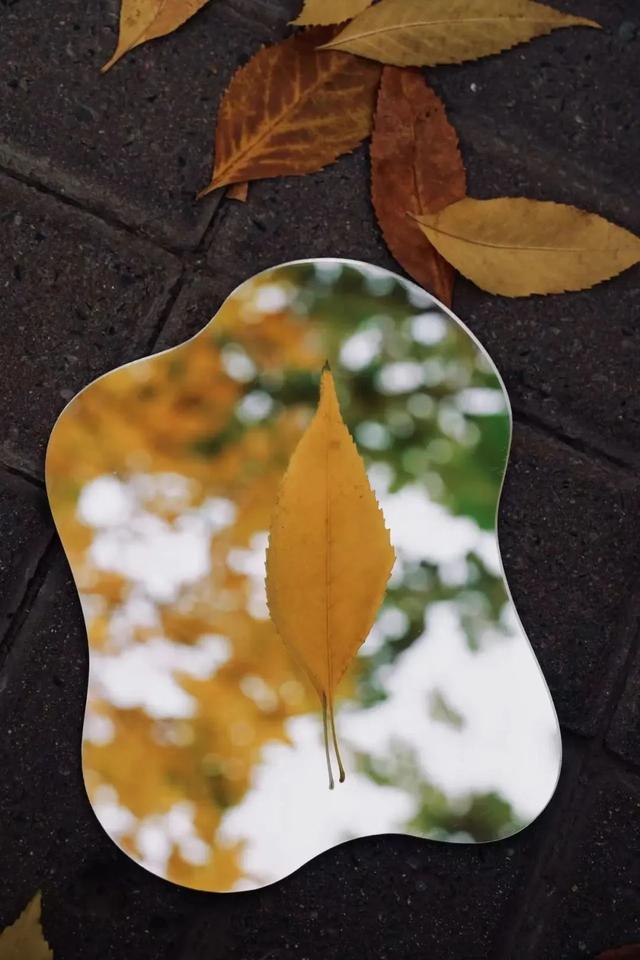被BNUer珍藏在镜子里的秋天