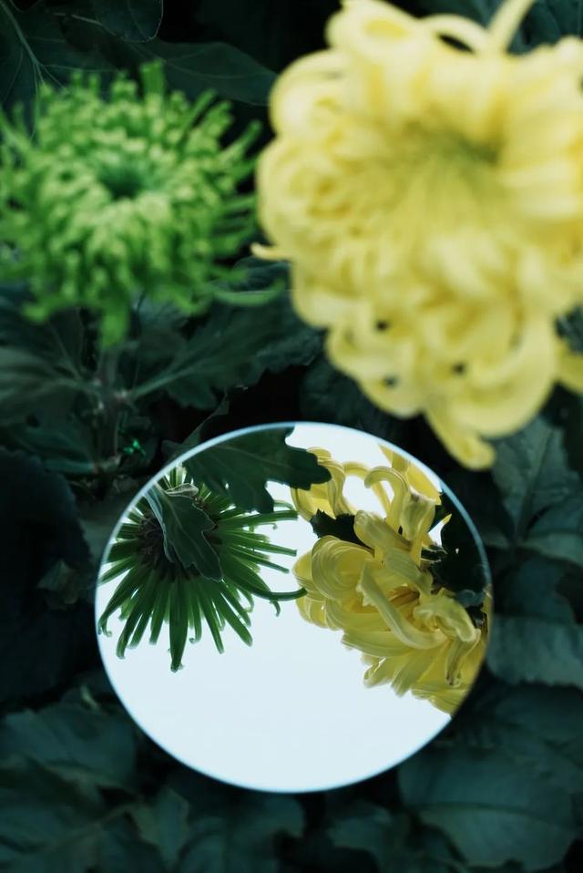 被BNUer珍藏在镜子里的秋天