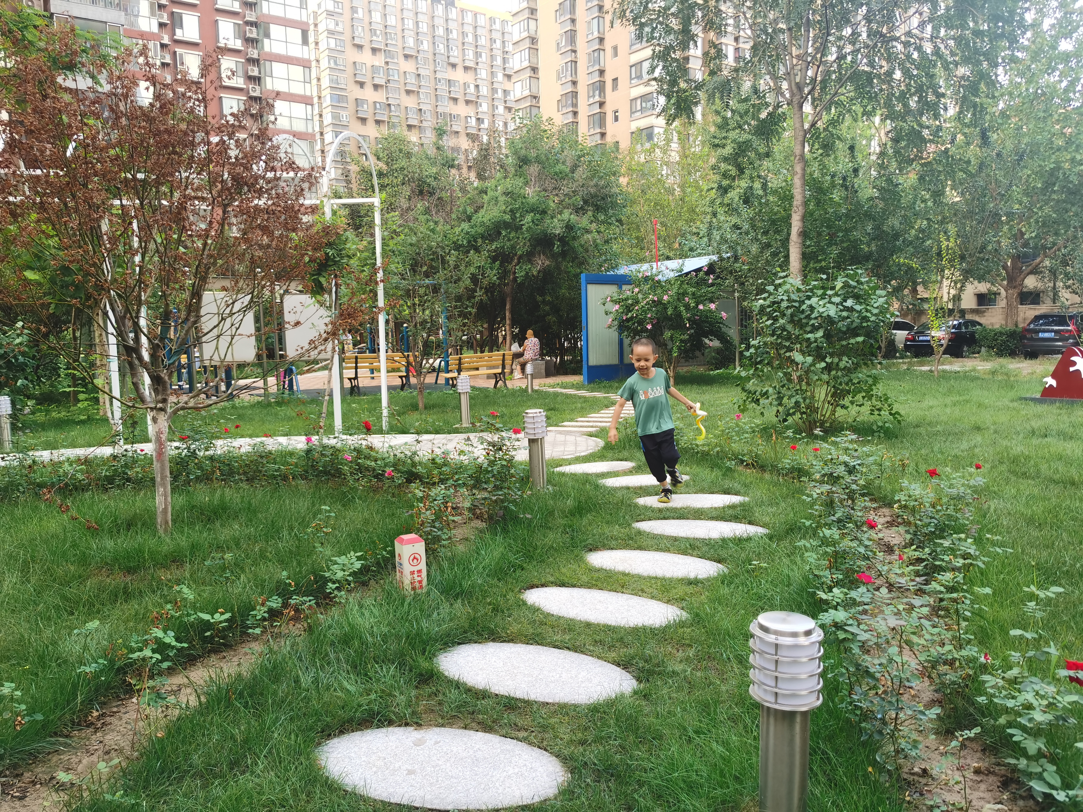 空地“变身”花园！社区协商议事居民齐参与