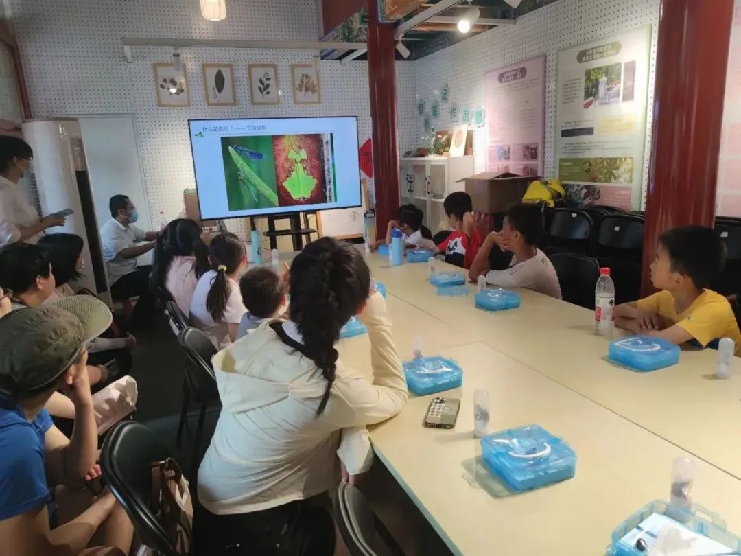 传说中的天子专用色——黄栌染