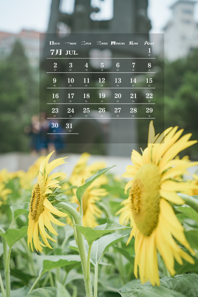 师大月历丨七月，遇见盛夏，一路生花