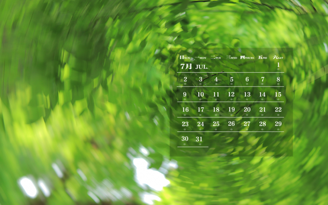 师大月历丨七月，遇见盛夏，一路生花