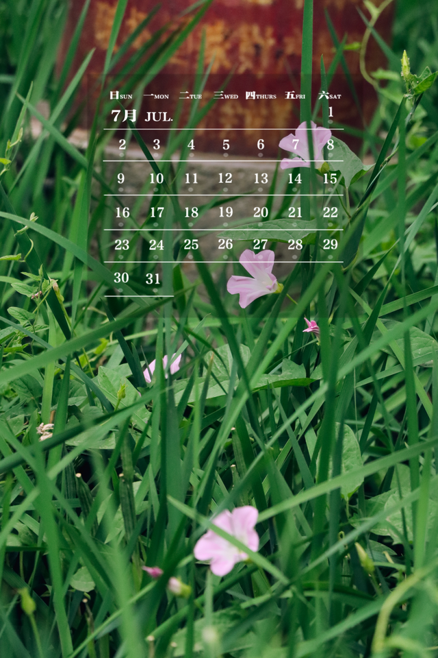 师大月历丨七月，遇见盛夏，一路生花