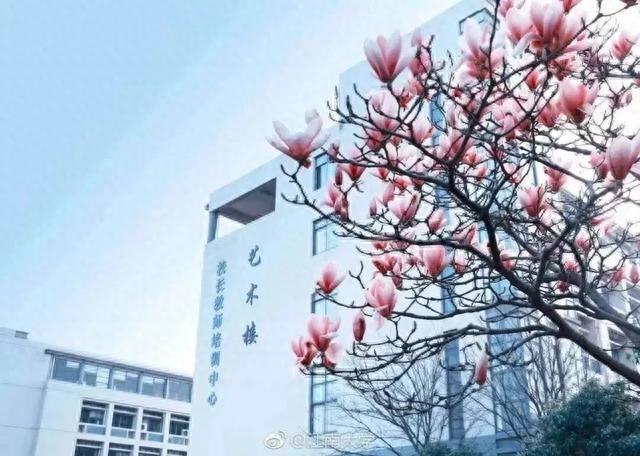满怀憧“景”，小编带你游江南@2023小萌新