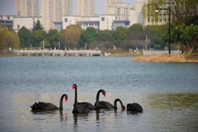 满怀憧“景”，小编带你游江南@2023小萌新