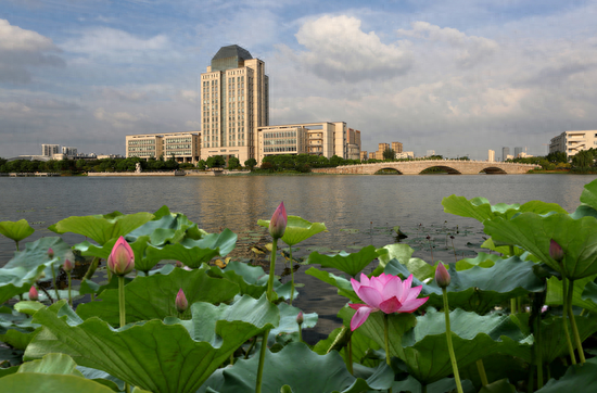 满怀憧“景”，小编带你游江南@2023小萌新